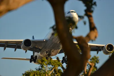 DSC_5749 (Large).JPG